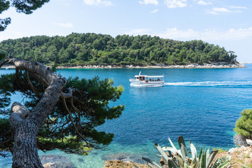 Yacht enters in the bay in a blue turquoise adriatic sea. Coast with green forest in Croatia with boat excursion.