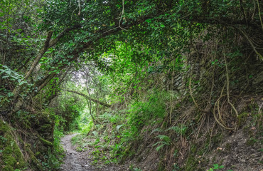 Wanderung Traumschleife Elfenlay am Rhein bei Boppard