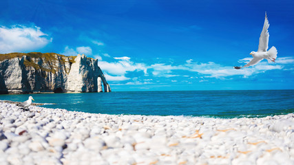 Picturesque panoramic landscape on the cliffs of Etretat. Natural amazing cliffs. Etretat, Normandy, France, La Manche or English Channel. Coast of the Pays de Caux area in sunny summer day. France