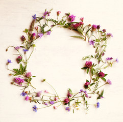 meadow flowers in  the wreath shape  on the white background view from above /summer holidays concept/healing herbs © Jane