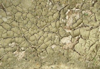 dry cracked earth