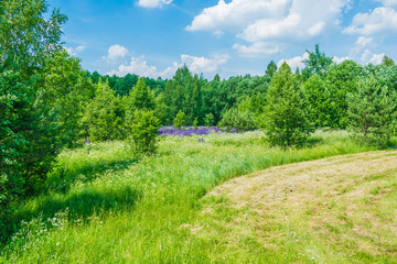 clouds blue sky fishing early in the morning