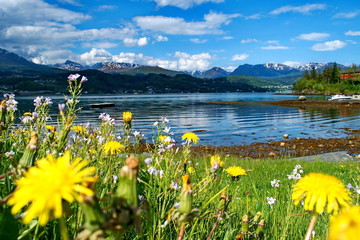 Norwegian landscape with Hardanger  fjord, mountains, boats, pier , flowers and cloudy sky in Norway