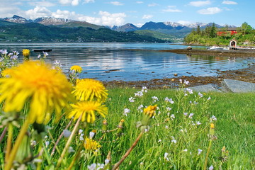 Norwegian landscape with Hardanger  fjord, mountains, boats, pier , flowers and cloudy sky in Norway