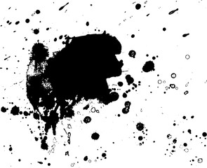 Fototapeta premium Ink stain. Black Paint Spot .