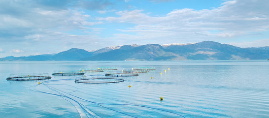 Salmon farm in a fjord between   mountains in Western Norway Hardanger fjord area at summer. © Ruslans