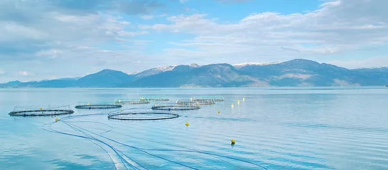 Foto op Canvas Salmon farm in a fjord between   mountains in Western Norway Hardanger fjord area at summer. © Ruslans
