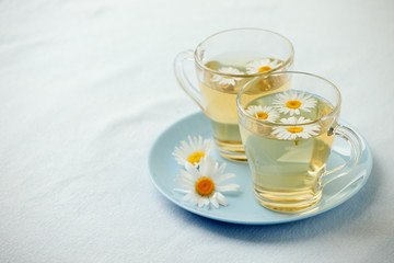 Herbal tea with fresh chamomile flowers in glass teacup on blue plate, seasonal colds flu alternative treatment, antidepressant and a remedy stomach cramps