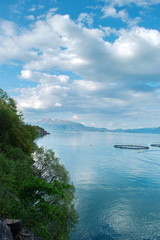 Salmon farm in a fjord between   mountains in Western Norway Hardanger fjord area at summer.