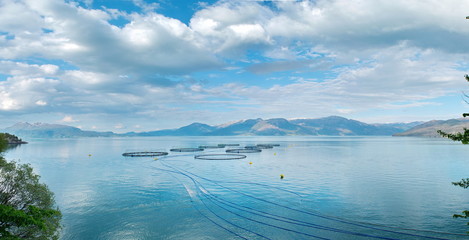 Salmon farm in a fjord between   mountains in Western Norway Hardanger fjord area at summer.