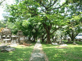 Old Christian cemetery in the rays of the bright sun. Alley between burials and gravestones. Trees and grass on an antique graveyard on a sunny day. The path between the graves.
