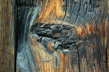 Woodiness grain