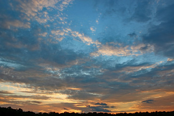 Sunset over trees in France