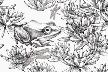 Frog with water lilies, seamless pattern. Hand-drawn, vector illustration. - 275958387