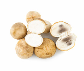 fresh astraeusand slices isolated on white background top view