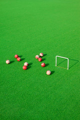 Chinese gate ball site