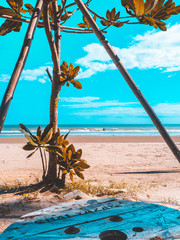 orange and teal tone