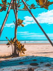 orange and teal tone