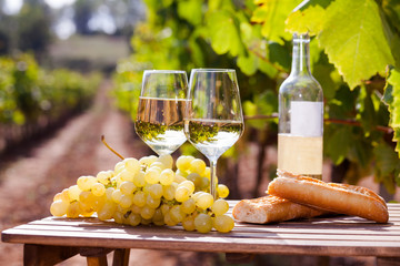 Fototapeta premium glass of White wine ripe grapes and bread on table in vineyard
