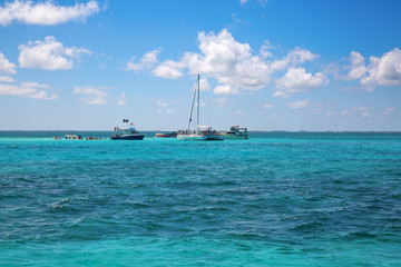Fototapeta premium Stingray city