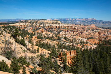 Fototapeta na wymiar Bryce canyon