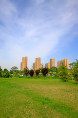 Obraz premium lawn and buildings