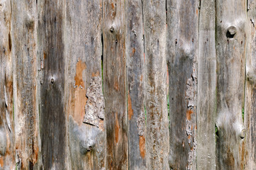 old wooden planks, wood texture