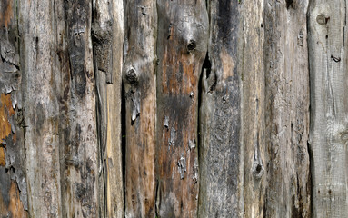 old wooden planks, wood texture