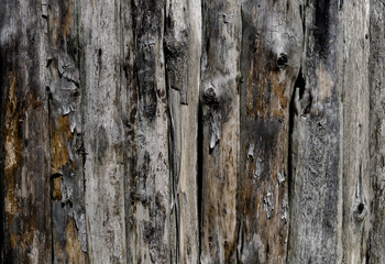 old wooden planks, wood texture