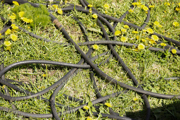 A cheny garden hose lies on the grass. An excellent background.