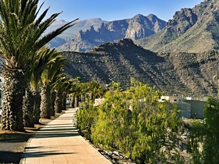 A path in Adeje, Tenerife, on Mirador Gla y Fer, with Palmtrees and mountains