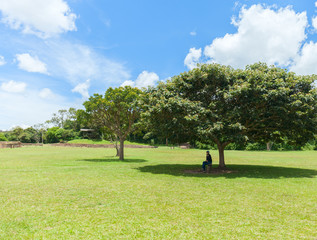 Lonely tree and a woman sitting in the shade of a tree crown on a hot sunny day