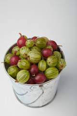Gooseberries fruits on white background. Bowls with gooseberries isolated on white background. Red and green gooseberries in a bowl with copy space for text. Ripe gooseberry close-up.  K