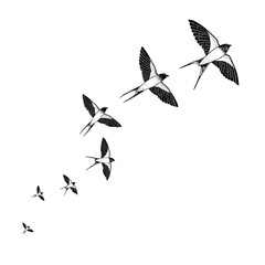 Flock of swallows takes off