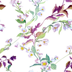 Obraz na płótnie Canvas Watercolor illustration with jasmine flowers. 