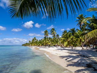 A deserted Caribbean beach on Saona Island in the Dominican Republic showing palm trees, blue sky and sea with clean sand.
