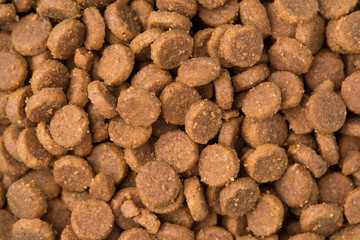 Dry pet food close-up. Dry food for cats and dogs close-up.