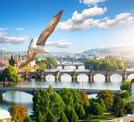Foto op Plexiglas Rij bruggen in Praag © Givaga