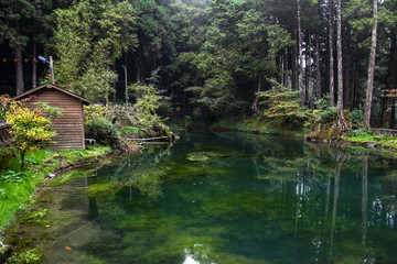 Fototapeta na wymiar View of river and wood hut at Alishan national park area in Taiwan.