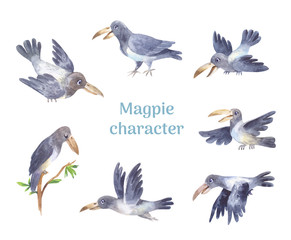 Magpie character, set of poses of grey cute bird