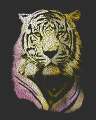 tiger graphic, tee shirt print
