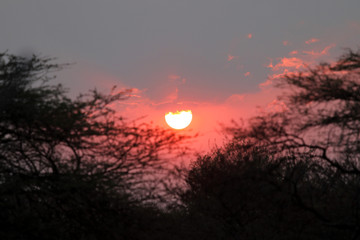 beautiful sunset - Namibia Africa
