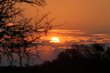 beautiful sunset - Namibia Africa