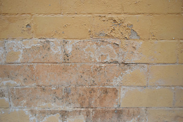 Excessive moisture can cause mold and peeling paint wall such as rainwater leaks or water leaks.
