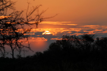 Fototapeta na wymiar beautiful sunset - Namibia Africa