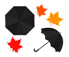 Rain umbrella and autumn leaves on white background