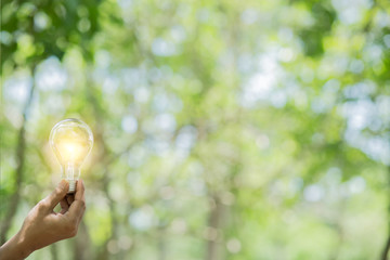 green leaf in hand