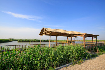 Wetland park scenery