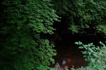 Landscape of Minoh