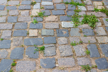 Cobblestone pavement with sprouted grass
